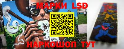 хмурый Кингисепп