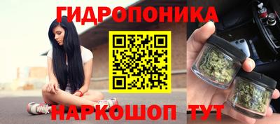 хмурый Кингисепп