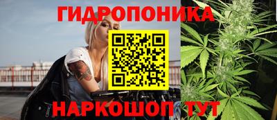 хмурый Кингисепп