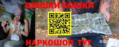 хмурый Кингисепп