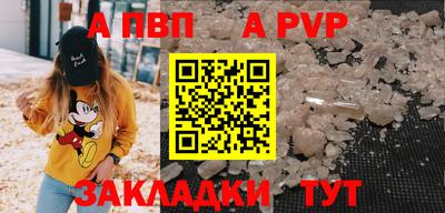 хмурый Кингисепп