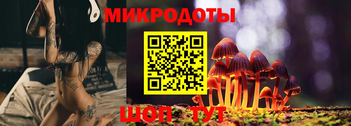 Псилоцибиновые грибы мицелий  Галлюциногенные грибы Psilocybe  Истра  Вход с VPN 